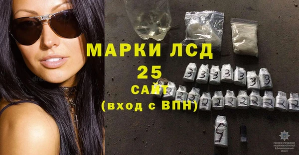 хмурый Козловка