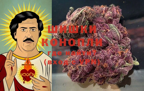 хмурый Козловка
