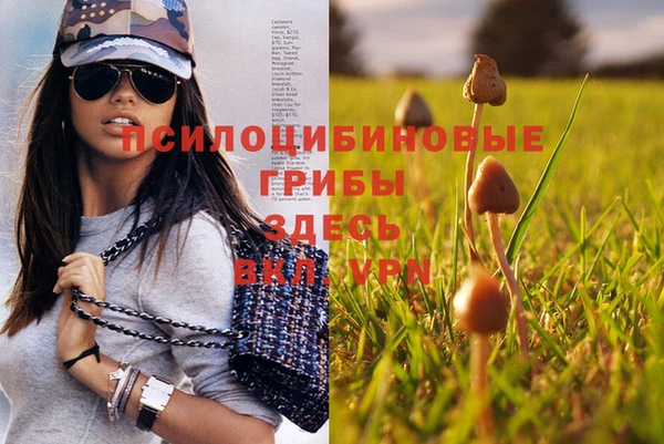молекула духа Киреевск