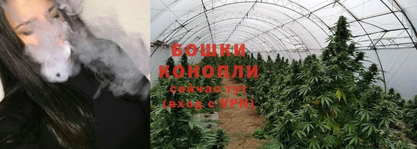 молекула духа Киреевск