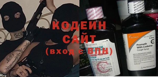 молекула духа Киреевск