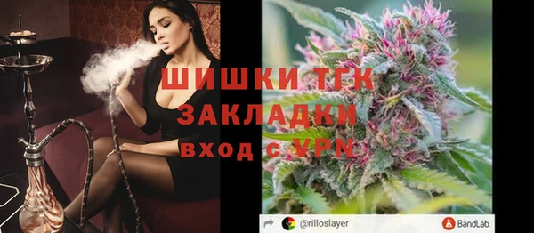 молекула духа Киреевск