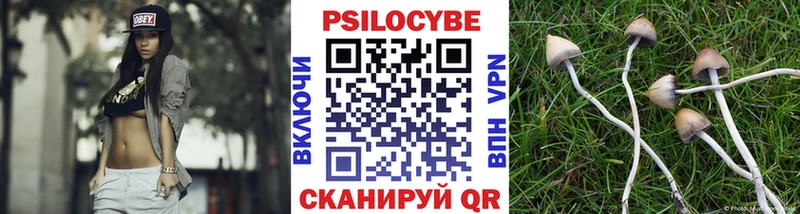 Купить где  Геленджик  Галлюциногенные грибы прущие грибы 